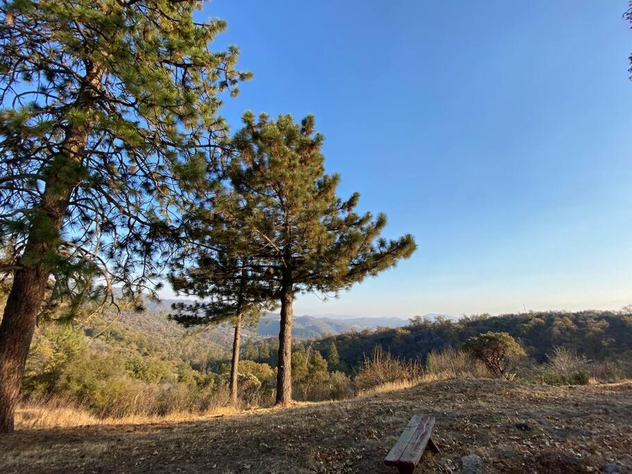 Modern Airstream With Amazing View - 10 To 15 Minutes From Kings Canyon National Park Dunlap Luaran gambar